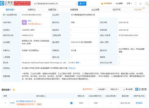 软件外包服务 高效、灵活与创新的技术合作伙伴